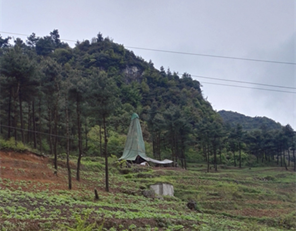 把脈“黔”鋅地，問診開良方