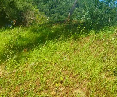 柳關(guān)欒盧鉛鋅礦|治理排土“瘡疤”，繪就綠色畫卷